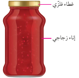 السؤال الرابع: التفكير الناقد